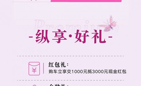 售9.69-11.69万元 吉利ICON玲珑上市