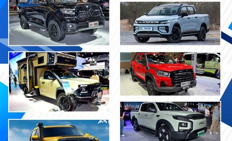 中国品牌占C位 北京车展皮卡新车汇总