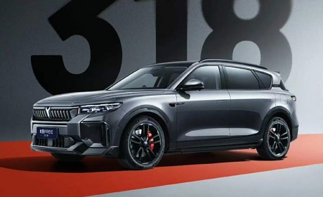 5月30日开启预售 岚图FREE 318官图发布