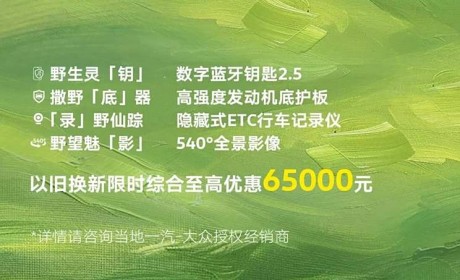限量500个 一汽-大众推揽巡“野趣包”