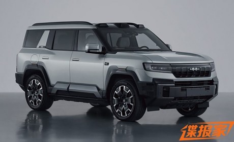 搭载2.0T+前后双电机 方程豹豹8申报图