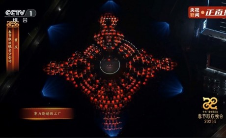 销量十连冠，两度上春晚，问界M9为何能做到有口皆碑？