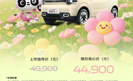 限时抢购价为4.49万/续航210公里 2025款熊猫mini元气熊上市