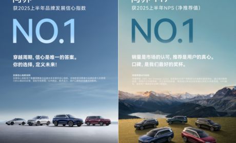 2025上半年新能源汽车品牌健康度：问界蝉联品牌发展信心指数第一