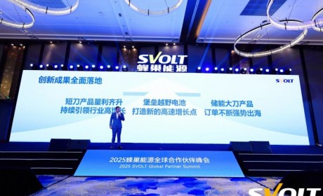 动力电池企业如何突围？蜂巢或许能给到一些启发