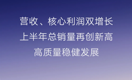 吉利汽车2025年上半年营收首破1500亿 下半年新产品计划揭晓