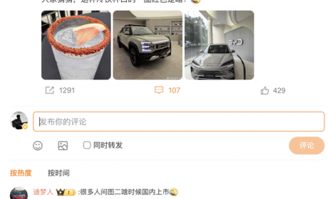 终于要来了？比亚迪李云飞：SHARK皮卡迟早在国内上市 正在规划中