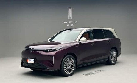 配备后轮转向+双腔空悬等 魏牌V9X实车亮相