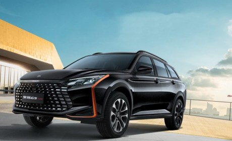 是谁的假期蠢蠢欲动？避暑“撒欢儿”正当时